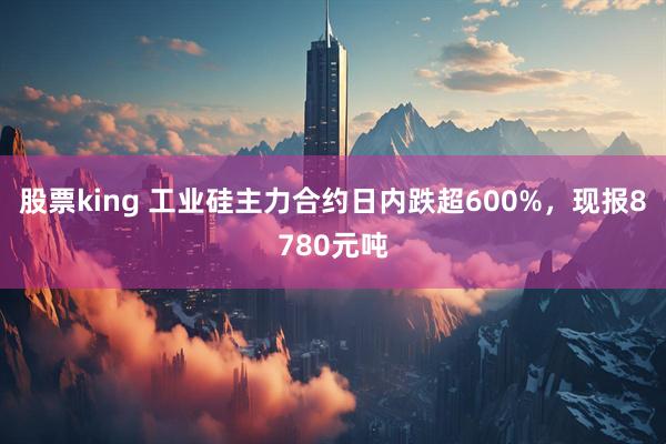 股票king 工业硅主力合约日内跌超600%，现报8780元吨