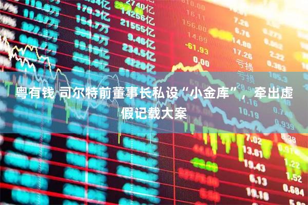 粤有钱 司尔特前董事长私设“小金库”，牵出虚假记载大案