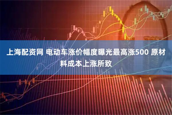 上海配资网 电动车涨价幅度曝光最高涨500 原材料成本上涨所致