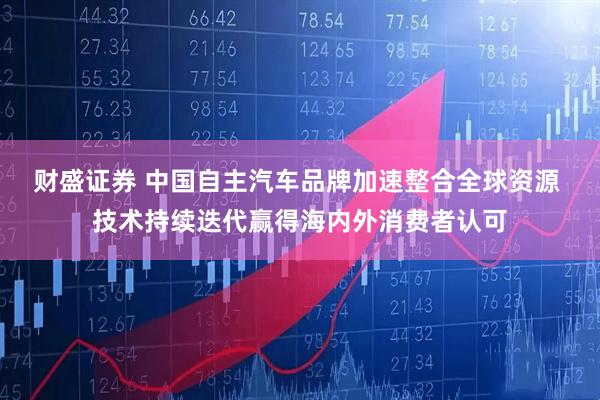 财盛证券 中国自主汽车品牌加速整合全球资源 技术持续迭代赢得海内外消费者认可